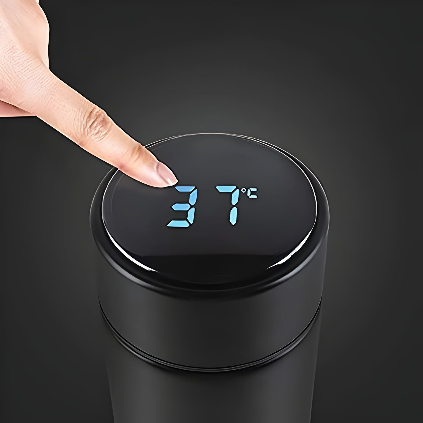 Temperature Water Bottle