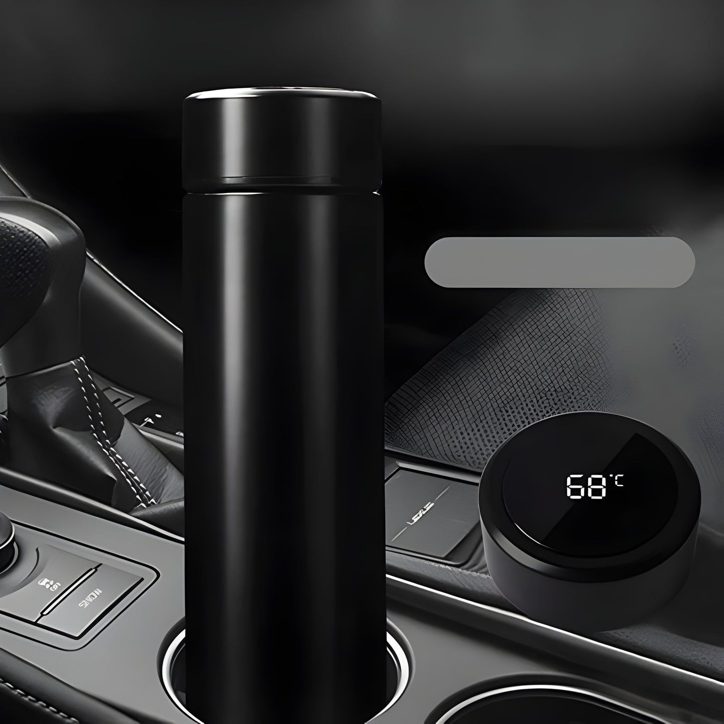Temperature Water Bottle